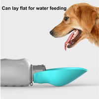 Thumbnail for 800ml Dogs Portable Water Bottle